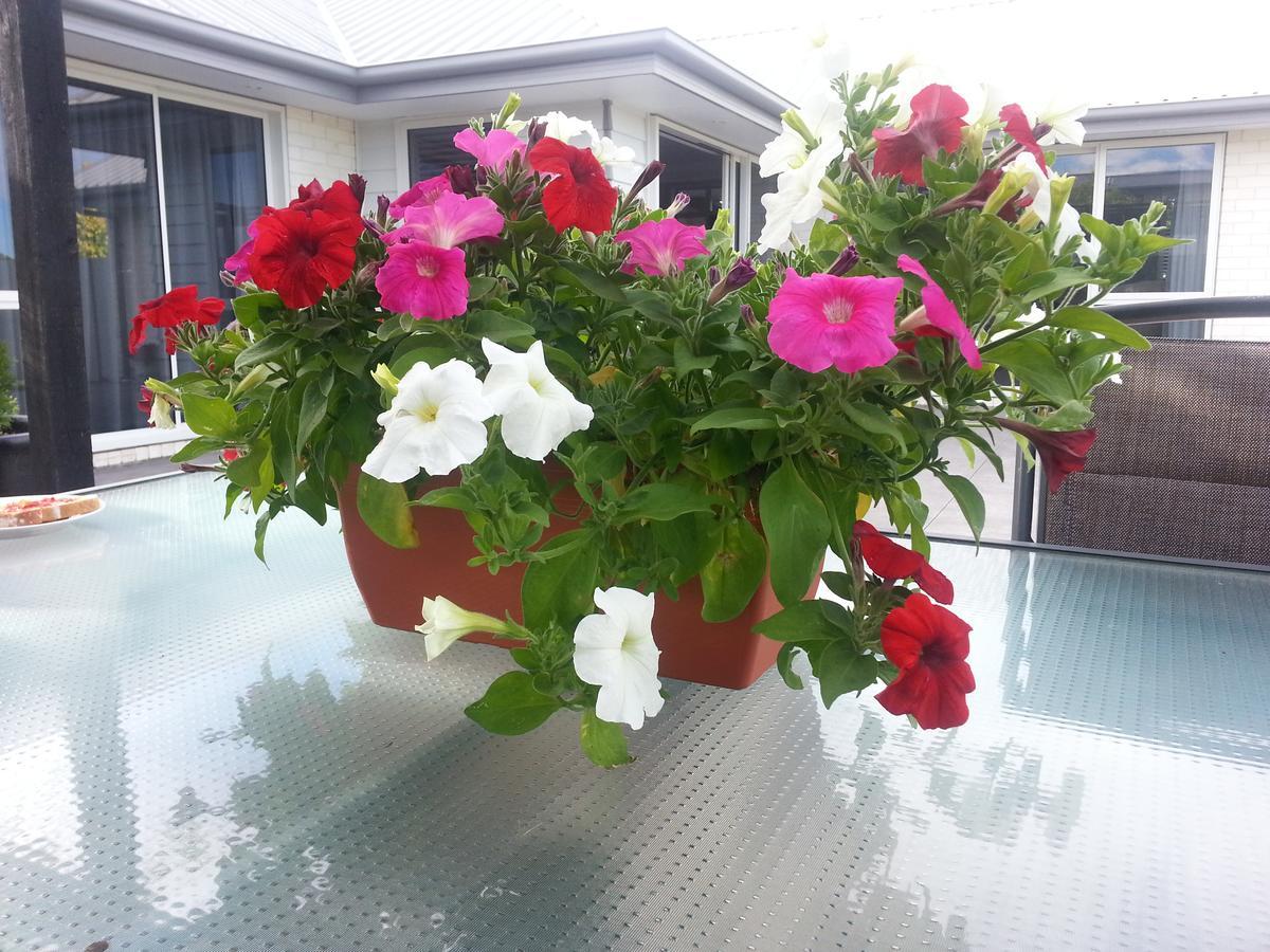Courtenay B & B Kaiapoi Exteriér fotografie